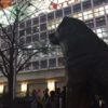 40代男性にありがちな、あっちの悩み！一件落着〜♪の巻